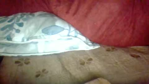 Janne online show from 11-25-25, 02:39