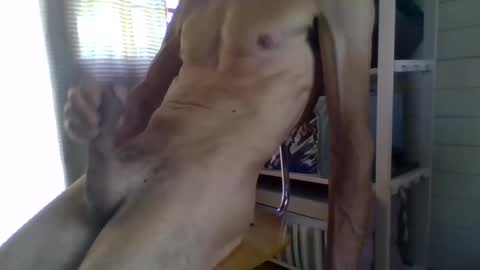 Snapshot of janzibor chatting on 05-26-26, 02:02 janzibor online show from 05-26-26, 02:02