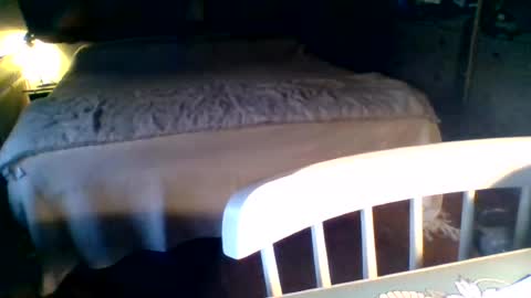 Snapshot of janzibor chatting on 08-02-26, 06:06 janzibor online show from 08-02-26, 06:06