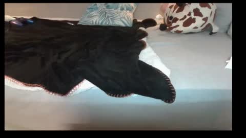 jasminandzhao online show from 07-07-26, 07:23