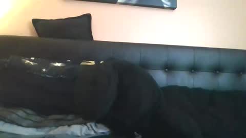 Jasmine online show from 05-16-26, 02:52
