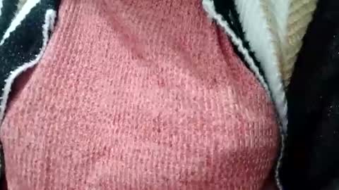 jasspreettt online show from 02-01-25, 01:55