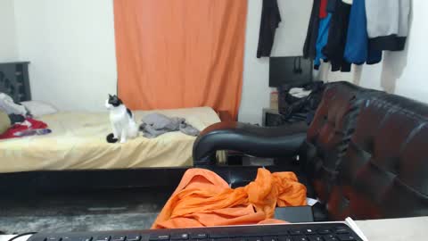 Snapshot of jaxivh16 chatting on 10-11-25, 03:17 jaxivh16 online show from 10-11-25, 03:17