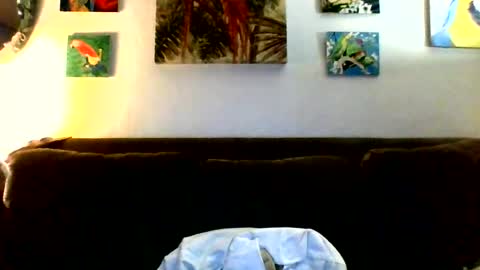 Snapshot of jay_jay1475 chatting on 07-23-26, 06:50 jay-jay1475 online show from 07-23-26, 06:50