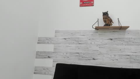 Jaycreedd online show from 11-02-25, 04:42