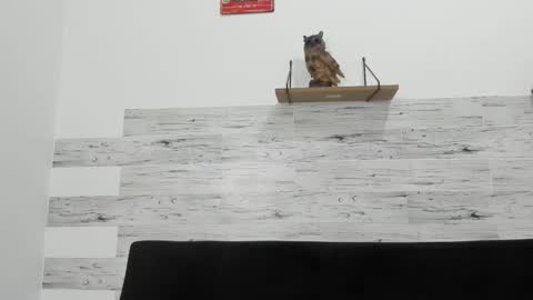 Jaycreedd online show from 12-05-25, 04:10