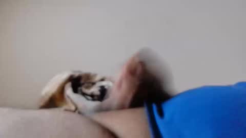 Snapshot of jayl458 chatting on 03-10-25, 10:59 jayl458 online show from 03-10-25, 10:59