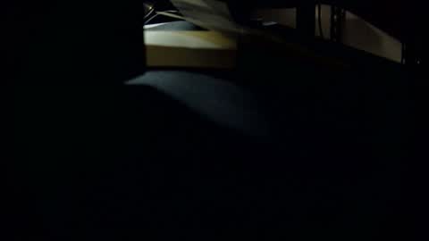 dookie online show from 03-01-25, 10:24