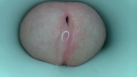 jeffrodgerschaturbat online show from 03-11-26, 03:56