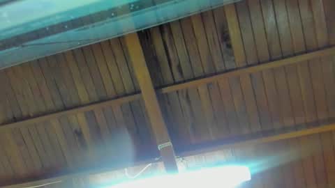 jeicob gagnon online show from 09-15-25, 02:00