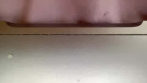 jerking1981 online show from 12-25-24, 05:37