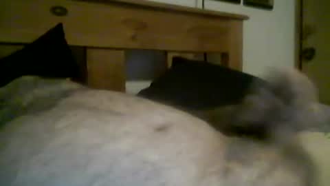 jerkmate6666 online show from 03-12-26, 11:44