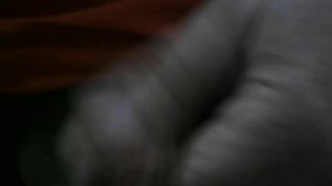 jerom111111111 online show from 01-02-25, 02:24