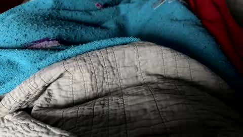 Jeremys room chill and puff one enjoy online show from 12-25-24, 02:34