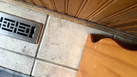 Jeremys room chill and puff one enjoy online show from 09-19-25, 06:30