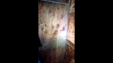 jessemwl8 online show from 03-26-26, 11:16