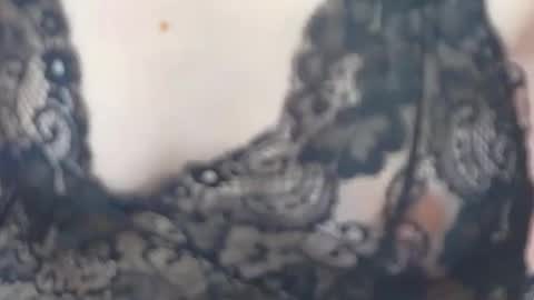 JessieStarrr online show from 02-17-26, 05:41