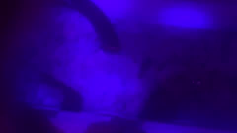 Jessica online show from 02-08-25, 10:07