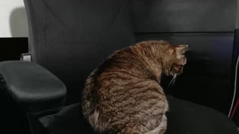 jhnbsomersxh0v1 online show from 03-30-26, 11:11