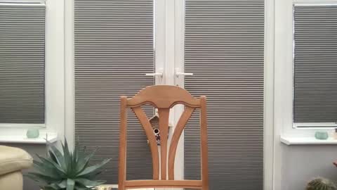 Snapshot of jiggz1986 chatting on 02-10-25, 03:53 Jigz1986 online show from 02-10-25, 03:53