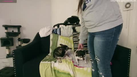 Snapshot of jjjust4fun1985 chatting on 12-15-24, 02:30 Nicole Allen online show from 12-15-24, 02:30