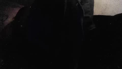 Snapshot of jjohnathan529 chatting on 01-26-25, 03:58 jjohnathan529 online show from 01-26-25, 03:58