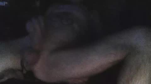 Snapshot of jjohnathan529 chatting on 02-24-25, 07:11 jjohnathan529 online show from 02-24-25, 07:11