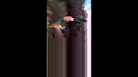jkint0702 online show from 05-17-26, 03:19