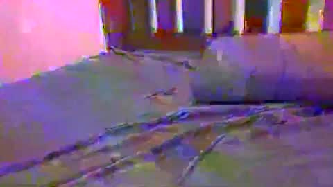 Snapshot of jlrf90 chatting on 02-17-25, 10:29 tip me online show from 02-17-25, 10:29