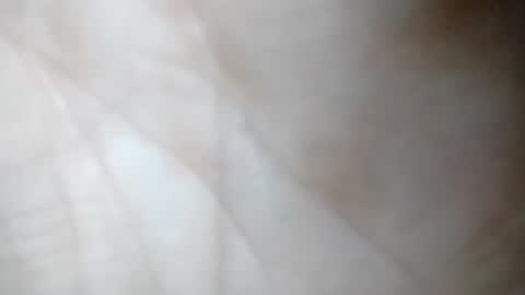Snapshot of joblow2023 chatting on 01-22-25, 12:17 joblow2023 online show from 01-22-25, 12:17