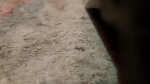 joemancini643 online show from 09-21-25, 02:13