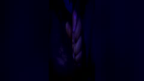 johnbruce23 online show from 06-25-26, 11:37