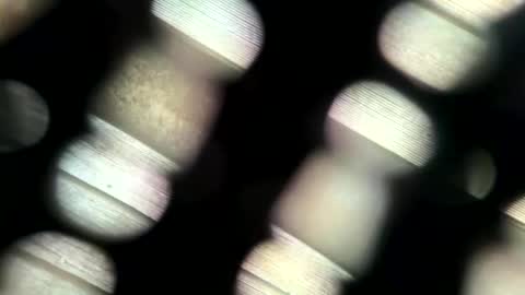 Snapshot of johnlong25cm chatting on 06-07-26, 02:54 johnlong25cm online show from 06-07-26, 02:54