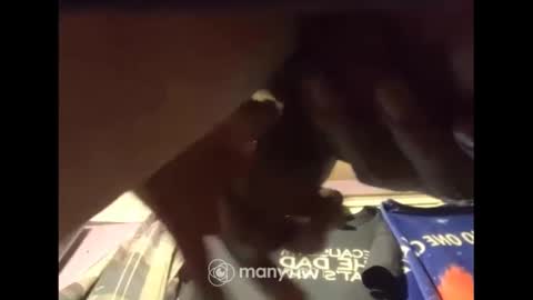 johnnyshung1 online show from 12-13-24, 07:47