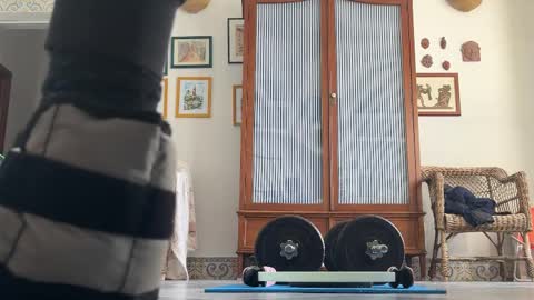 Snapshot of johny_bee chatting on 02-20-25, 09:00 Johnny online show from 02-20-25, 09:00