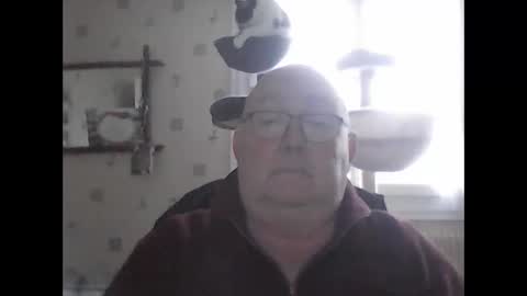 jojo60000529566 online show from 12-07-24, 02:13