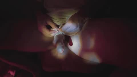 jonahshyfap online show from 01-09-25, 02:22