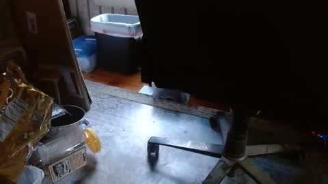 joncpics online show from 11-06-25, 08:21