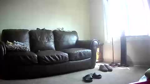 Snapshot of jonny4u_xxx chatting on 06-08-26, 04:07 John online show from 06-08-26, 04:07