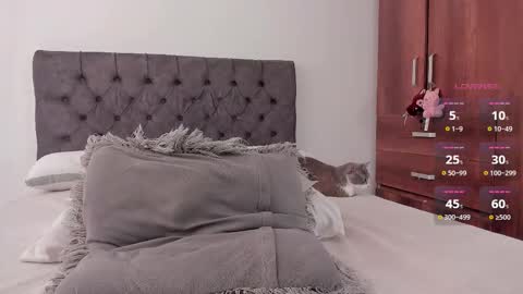 Will online show from 02-28-26, 06:53