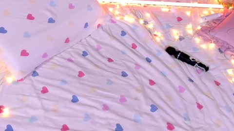 Rose online show from 03-01-25, 01:22