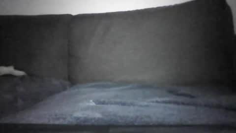 Snapshot of josei_h chatting on 12-12-24, 07:15 Hentai Jo online show from 12-12-24, 07:15