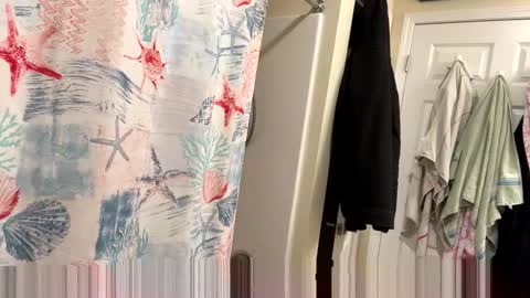 sissy josphine online show from 02-03-26, 03:37