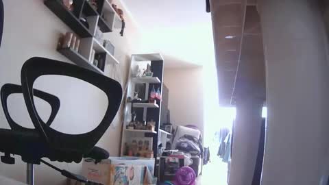 josh202021 online show from 03-01-26, 06:21