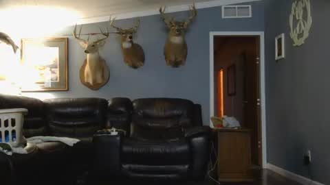 Snapshot of joshua122933 chatting on 03-26-26, 02:28 Josh online show from 03-26-26, 02:28