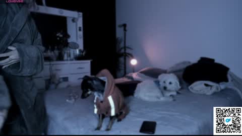 josephine   independent model    online show from 01-21-25, 05:49