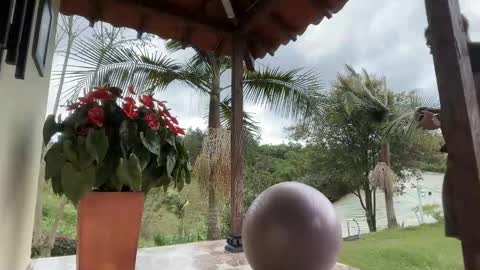 Im Jouliano online show from 11-15-25, 08:05