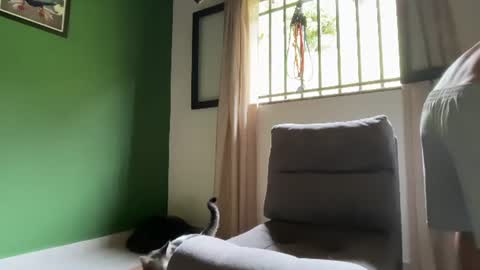 Snapshot of joulianogreco1 chatting on 07-19-26, 03:05 Im Jouliano online show from 07-19-26, 03:05