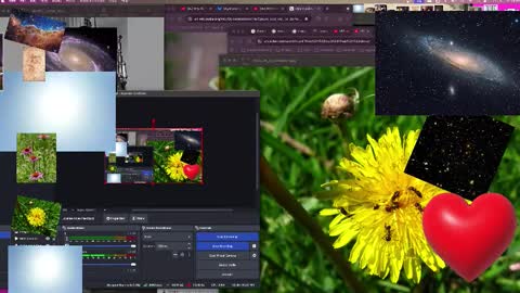 Snapshot of jpsunflower chatting on 10-13-25, 09:09 JP Sunflower Angel Love online show from 10-13-25, 09:09