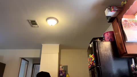 Assholelover online show from 02-27-25, 06:31